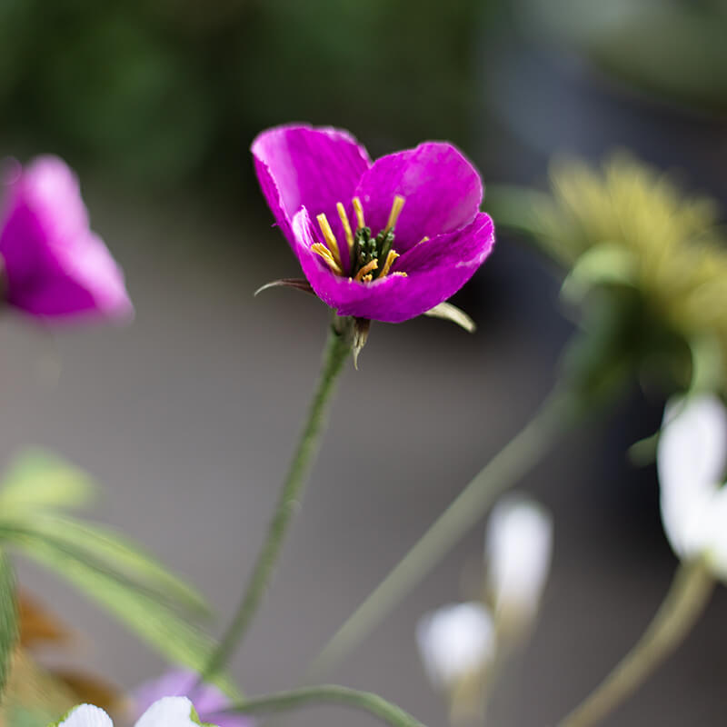 nem crepe papirblomst