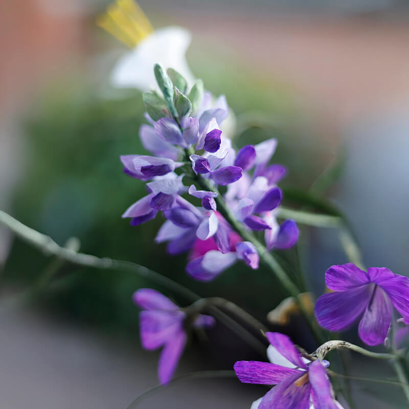 Lupin i crepe papir