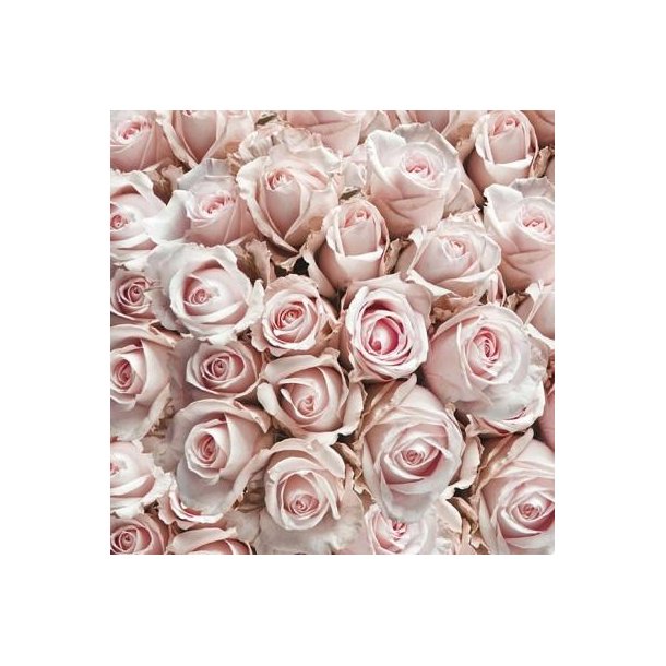 Ambiente Frokostservietter - Pastel Roses - 20 stk. - 13311450