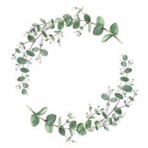 Ambiente - Frokostservietter - Eucalyptus Branche White