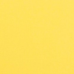 Vaessen - Florence - Karton 12 - 216g - Lemon Yellow