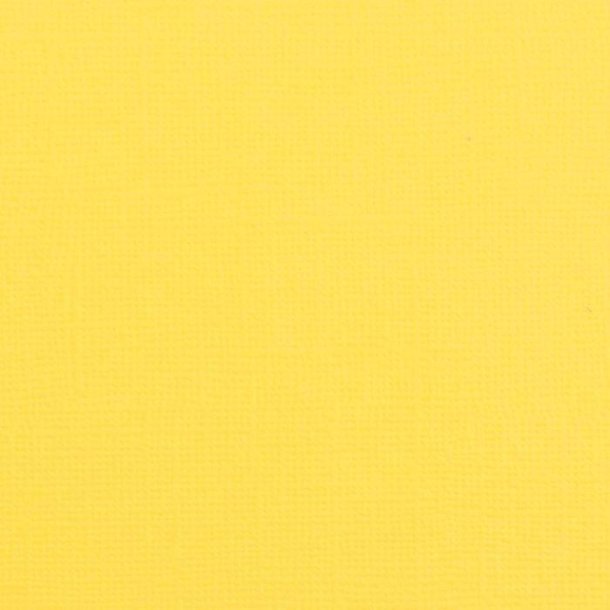 Vaessen - Florence - Karton 12 - 216g - Lemon Yellow