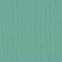 Vaessen - Florence - Karton 12 - 216g - Iguana