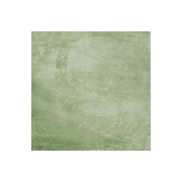 Charlie & Paulchen - Karton - Canvas Moosgrn / Mosgrn