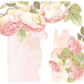 Charlie & Paulchen - Karton - Englische Rosen / Roser