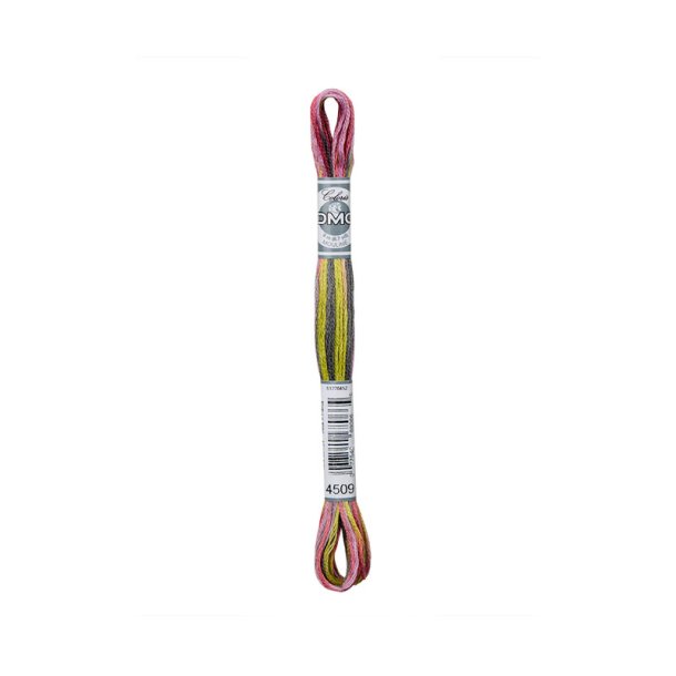 DMC Broderigarn - Coloris - Nr 4509 - 8 m.