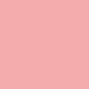 PlayCut Karton - A4 - Syrenrosa - 5372