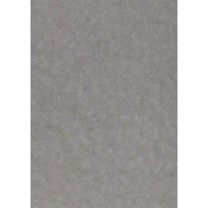 Paper Favourites Special - Alchemy 120 g A4/10 ark Platinum - 558736