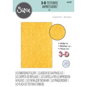 Sizzix - 3D Embossing Folder - Celebrate - 665402