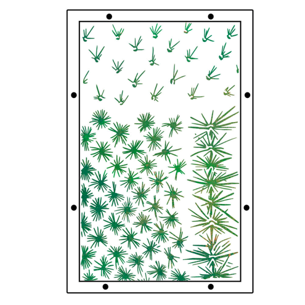 Sizzix - Stempler og Stencil st - Western af Vic Hollins