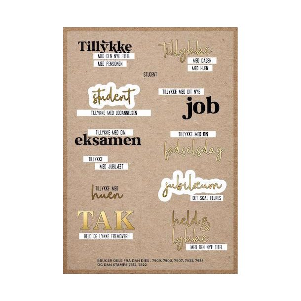 Dan Stamps - Stempel - Hurtige tekster -  job, huen & eksamen