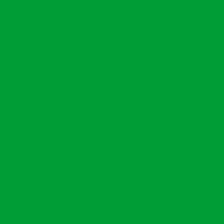Paint Marker - Wide  - Light Green Permanent - 312