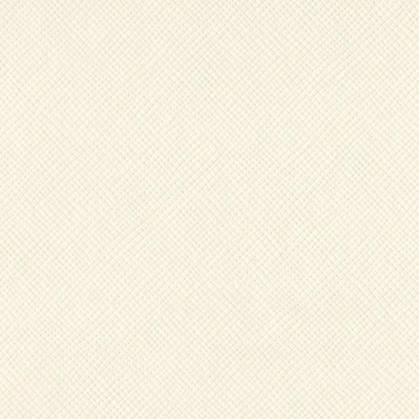 Bazzill Karton - Mono Canvas 12 x 12 - Cream Puff - 309049