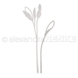 Alexandra Renke - Die - "Sage" - Salvie