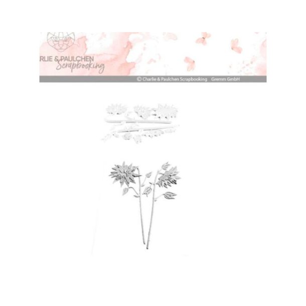 Charlie & Paulchen - Die - Akeleje Blomster