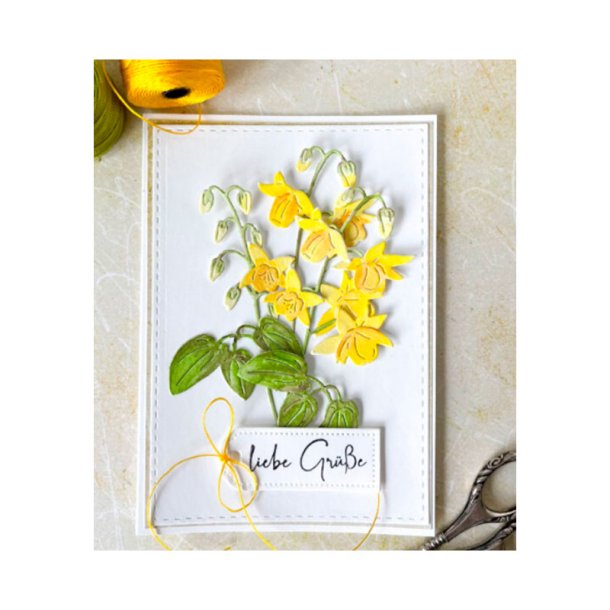 Charlie  Paulchen - Die - Forrsblomst