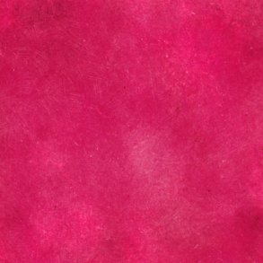 Charlie & Paulchen - Karton - Stoneeffect Nora Barlow Purpur