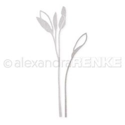 Alexandra Renke - Die - "Sage" - Salvie