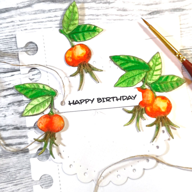 Gummiapan - Die - Hyben