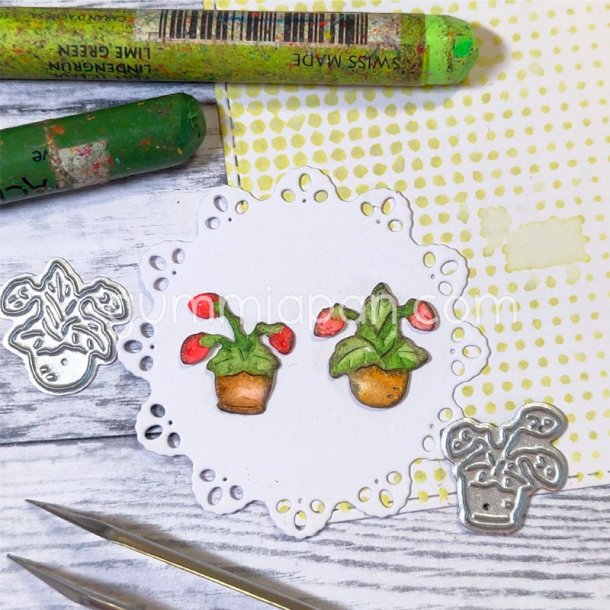 Gummiapan - Die - Br Plante