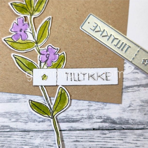 Gummiapan - Die - Tillykke