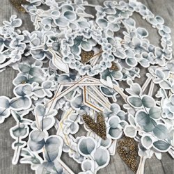 Dan Cuts - Eukalyptus