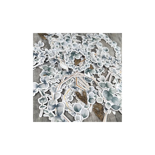 Dan Cuts - Eukalyptus