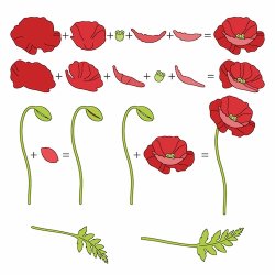 Made With Love - Die - Valmuer