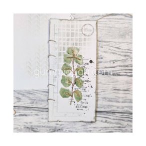 Gummiapan - Die - Eucalyptus