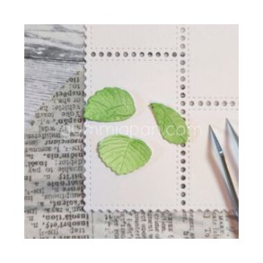 Gummiapan - Die - Jordb�rblad