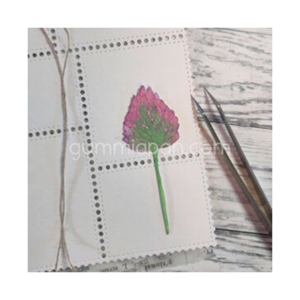 Gummiapan - Die - Purl�g