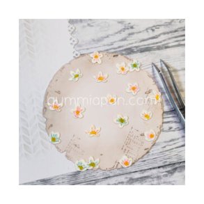 Gummiapan - Die - S�de Blomster