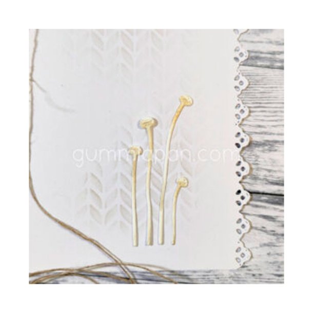 Gummiapan - Die - Svampe