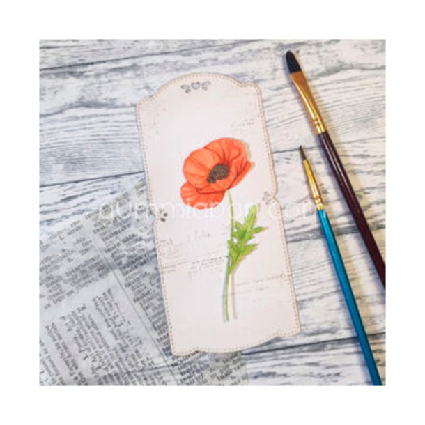 Gummiapan - Die - Valmue