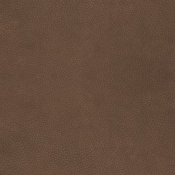 Gavlhusets Design - Lder og ruskind  Hasselnd