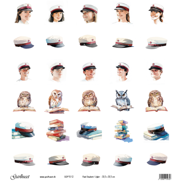 Gavlhusets Design - Papir - Rd Student / Ugler