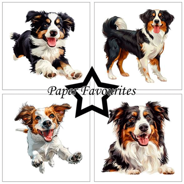 Paper Favourites - Blok 6'' - Farmdogs / Grdhunde