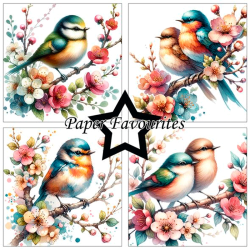 Paper Favourites - Blok 6'' - Birds and Flowers / Fugle og blomster