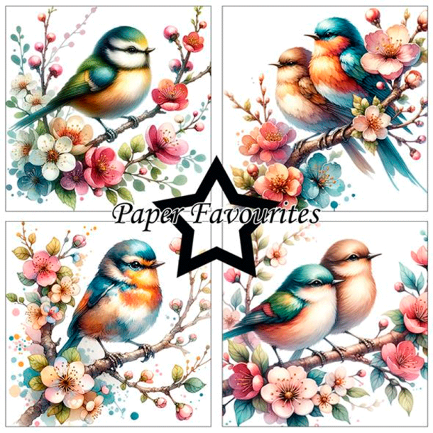 Paper Favourites - Blok 6'' - Birds and Flowers / Fugle og blomster