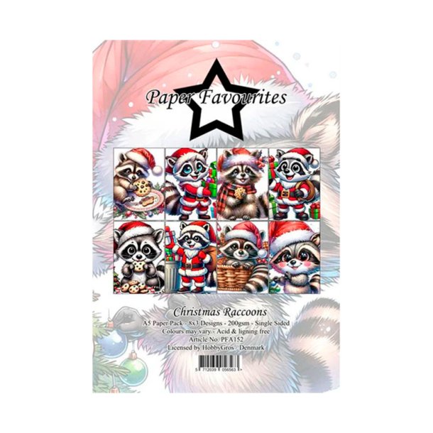 Paper Favourites - Blok A5 - Christmas Raccoons