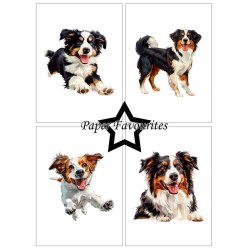 Paper Favourites - Blok A6 - Farmdogs / Grdhunde
