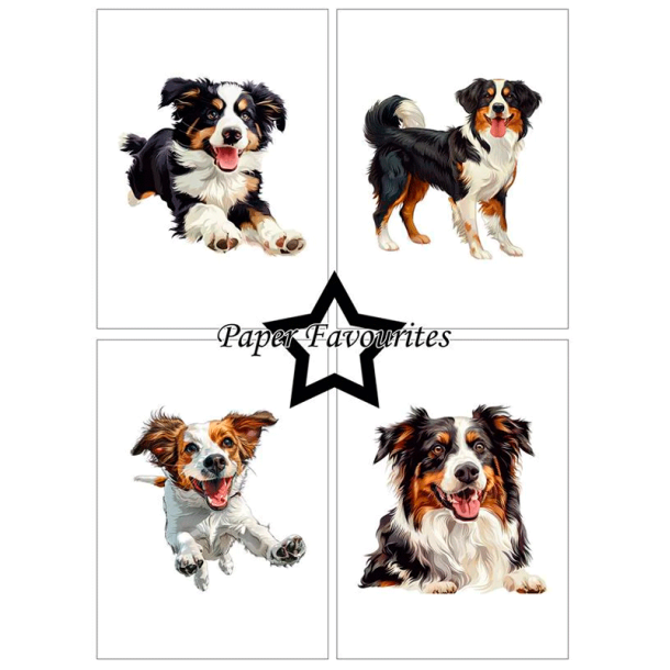 Paper Favourites - Blok A6 - Farmdogs / Grdhunde