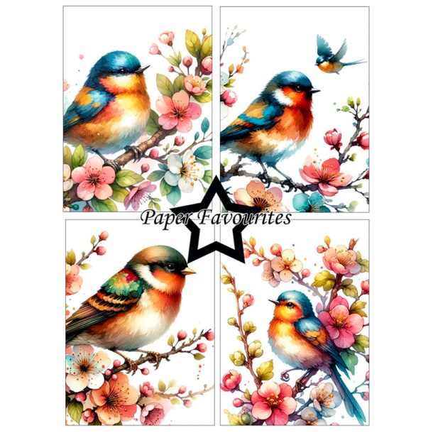 Paper Favourites - Blok A6 - Birds and Flowers / Fugle og blomster