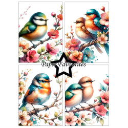 Paper Favourites - Blok A6 - Birds and Flowers / Fugle og blomster