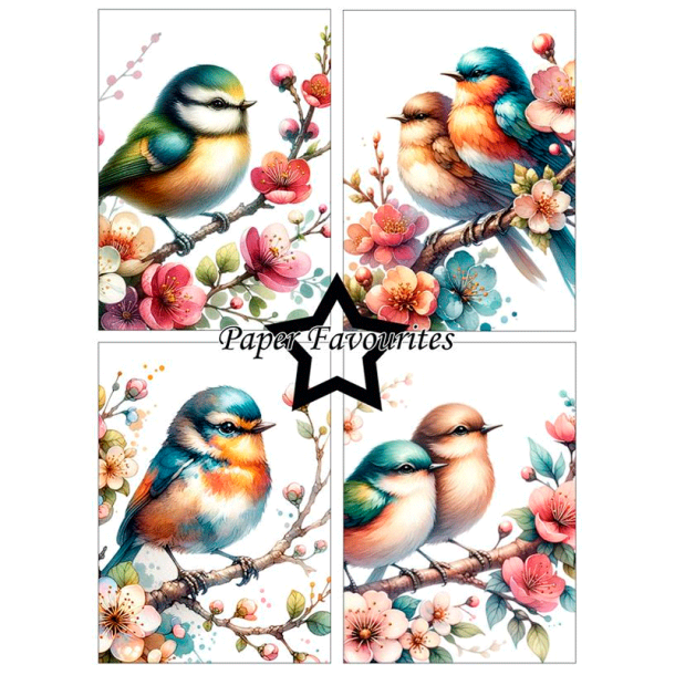 Paper Favourites - Blok A6 - Birds and Flowers / Fugle og blomster