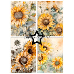 Paper Favourites - Blok A6 - Vintage Sunflower / Gammeldags solsikke