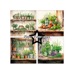 Paper Favourites - Blok 12" - Herbs - 200gsm - 8 ark