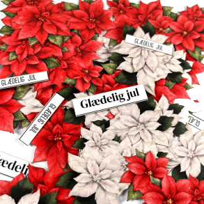 Dan Cuts - Poinsettia Julestjerne