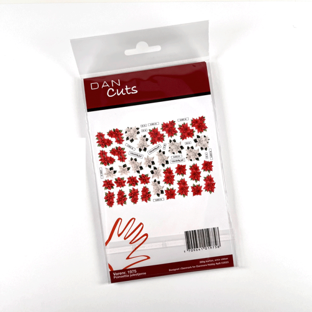 Dan Cuts - Poinsettia Julestjerne