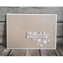 Simple and Basic - Die - Tekst - Tillykke